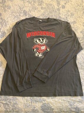 Wisconsin Grey Long-Sleeve Graphic Tee - Red Logo